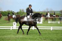 day1_IMG_9998.jpg