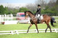 day1a_IMG_0005.jpg