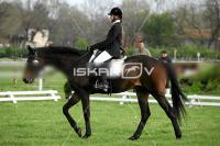 day1a_IMG_0011.jpg