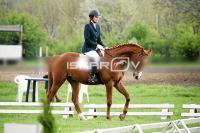 day1a_IMG_0041.jpg