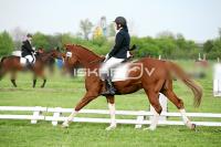 day1a_IMG_0050.jpg