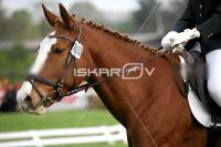 day1a_IMG_0052.jpg