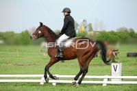 day1a_IMG_0070.jpg