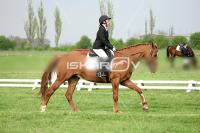 day1a_IMG_0074.jpg