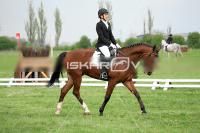 day1a_IMG_0080.jpg