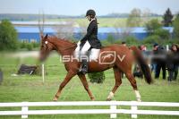 day1a_IMG_0085.jpg