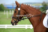 day1a_IMG_0089.jpg