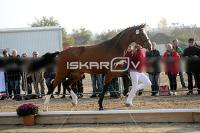 CD0A7222.jpg