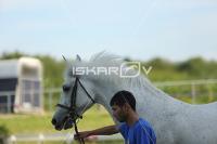 _CD0A9744.jpg