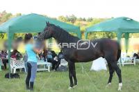 _CD0A9832.jpg