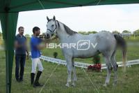 _CD0A9933.jpg
