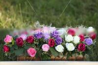 _CD0A9946.jpg