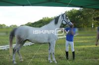 _CD0A9943.jpg