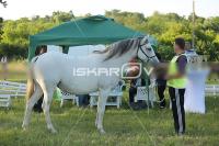 CD0A0012.jpg