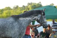 CD0A0173.jpg