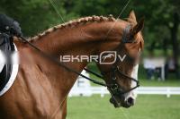 IMG_3883.jpg