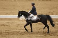 Raw_086.jpg