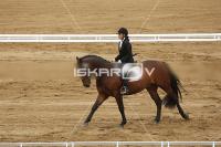 Raw_098.jpg