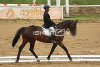 Raw_144.jpg