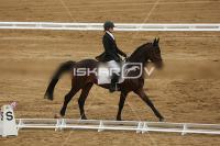 Raw_151.jpg