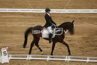 Raw_158.jpg