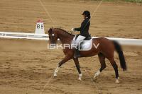 Raw_184.jpg