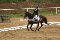 Raw_206.jpg