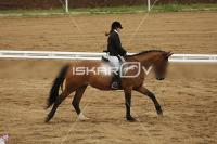 Raw_218.jpg
