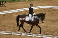 Raw_220.jpg
