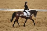 Raw_223.jpg