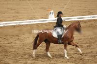 Raw_264.jpg