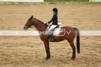 Raw_310.jpg