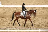 Raw_311.jpg