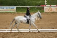 Raw_379.jpg