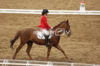 Raw_407.jpg