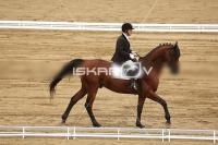 Raw_428.jpg