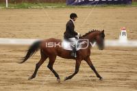 Raw_433.jpg