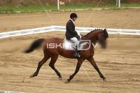 Raw_431.jpg