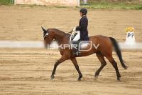 Raw_438.jpg