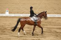 Raw_482.jpg