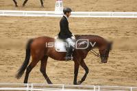 Raw_579.jpg