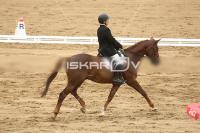 Raw_559.jpg