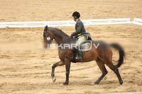 Raw_516.jpg