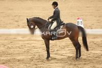 Raw_531.jpg