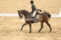 Raw_519.jpg