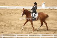 Raw_607.jpg