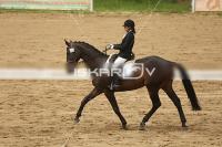Raw_582.jpg