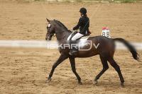 Raw_587.jpg