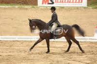 Raw_518.jpg