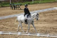 Raw_639.jpg